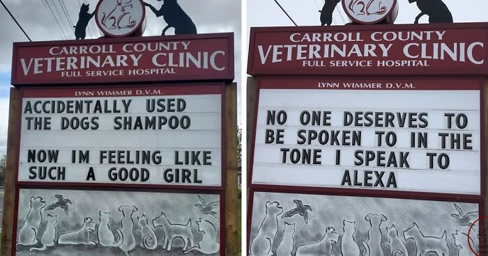 This Vet Clinic Is Famous For Putting Out The Most Hilarious Signs And Here Are The Best Ones (75 New Pics)