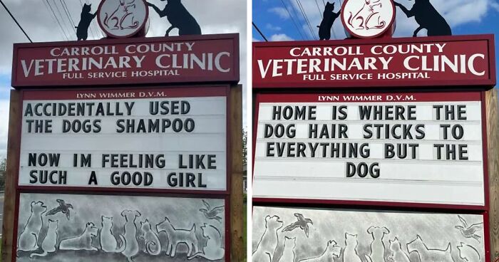 75 Of The Funniest Outdoor Signs From This Vet Clinic To Make You Crack A Smile (New Pics)