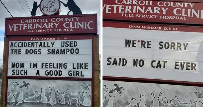 This Vet Clinic Is Famous For Their Dad Jokes, Here Are 75 Of The Best Outdoor Signs They've Put Up (New Pics)