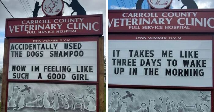 30 Of The Funniest Outdoor Signs From This Vet Clinic To Make You Crack A Smile (New Pics)