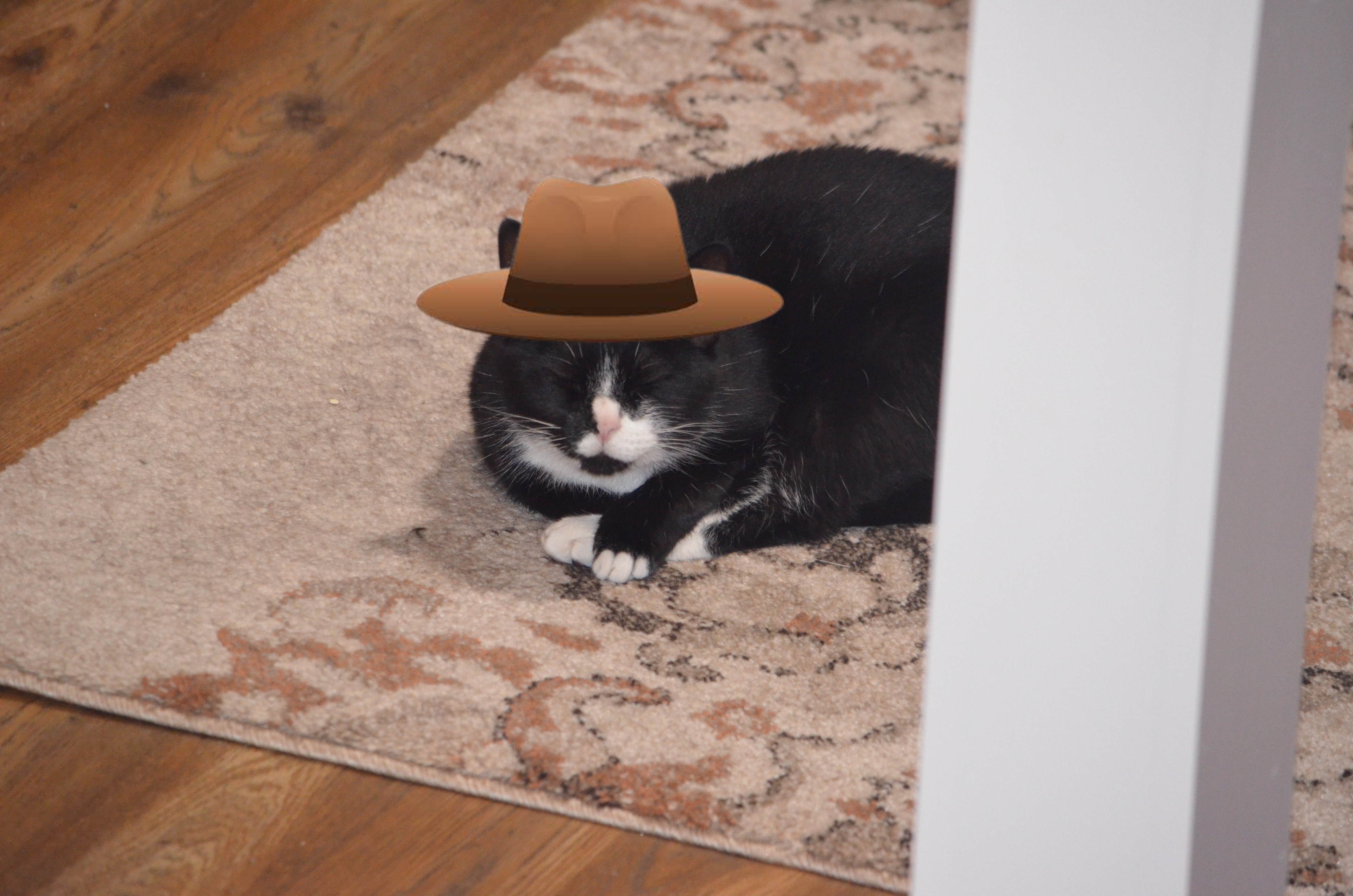 Hey Pandas, Post A Picture Of Your Cat With A Hat On (Closed)