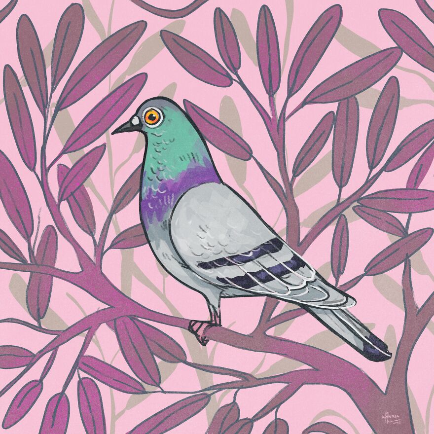 I Illustrated Birds I See From My Balcony Or In The City