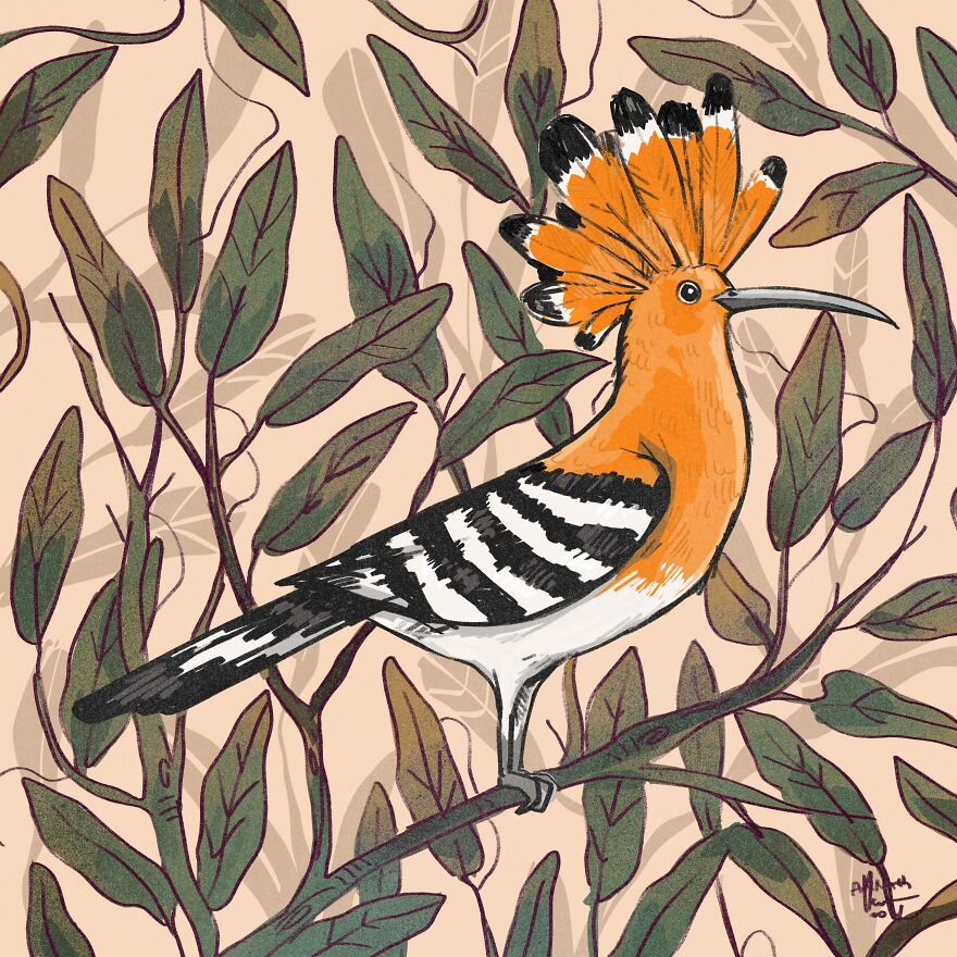 I Illustrated Birds I See From My Balcony Or In The City