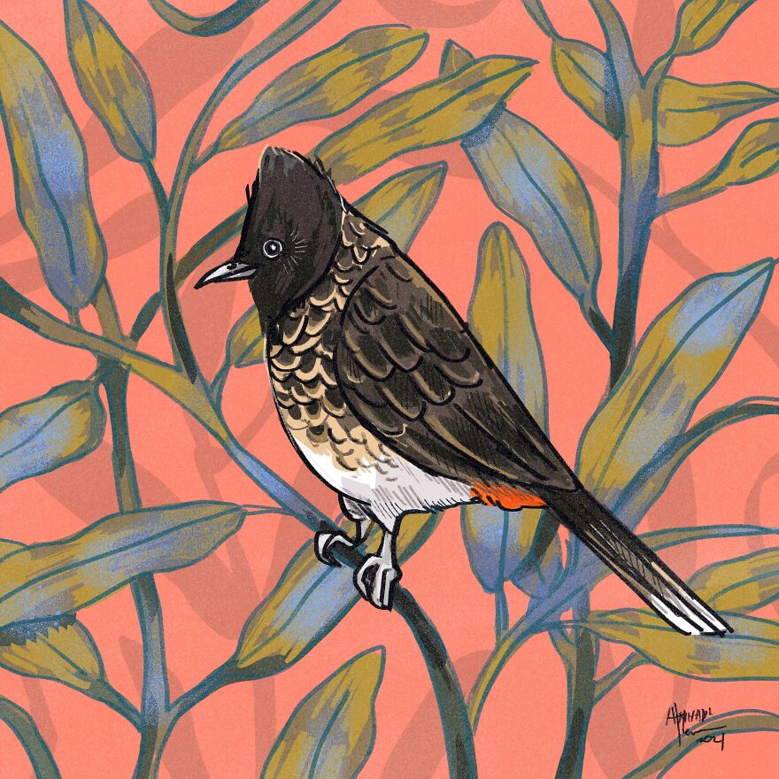 I Illustrated Birds I See From My Balcony Or In The City