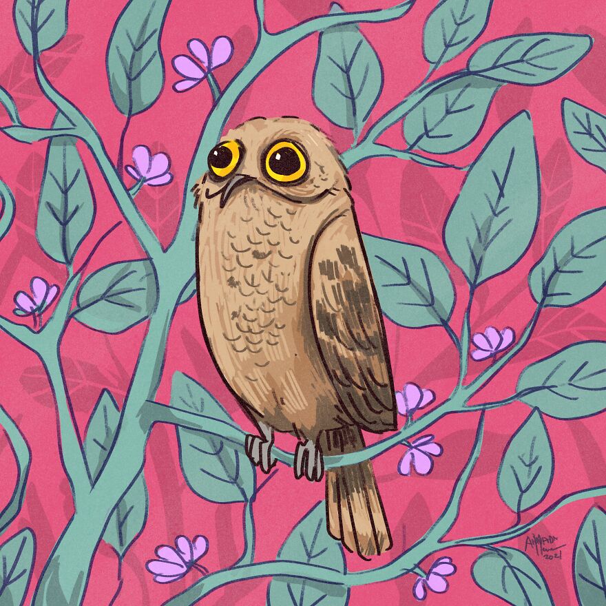 I Illustrated Birds I See From My Balcony Or In The City