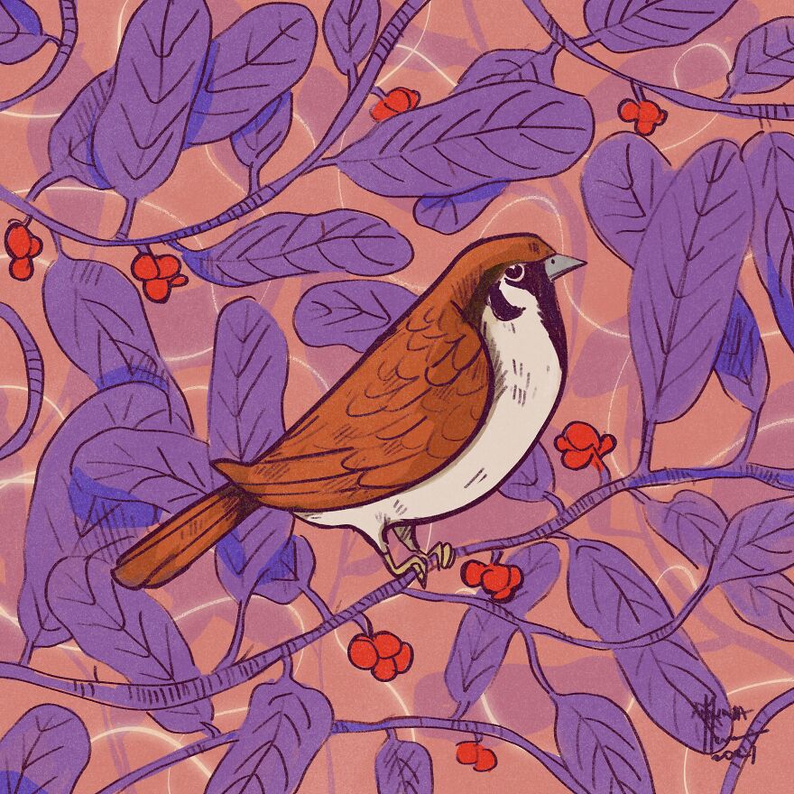 I Illustrated Birds I See From My Balcony Or In The City