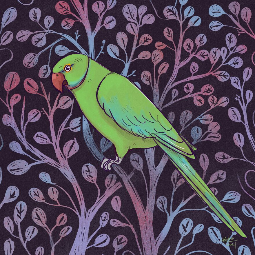 I Illustrated Birds I See From My Balcony Or In The City