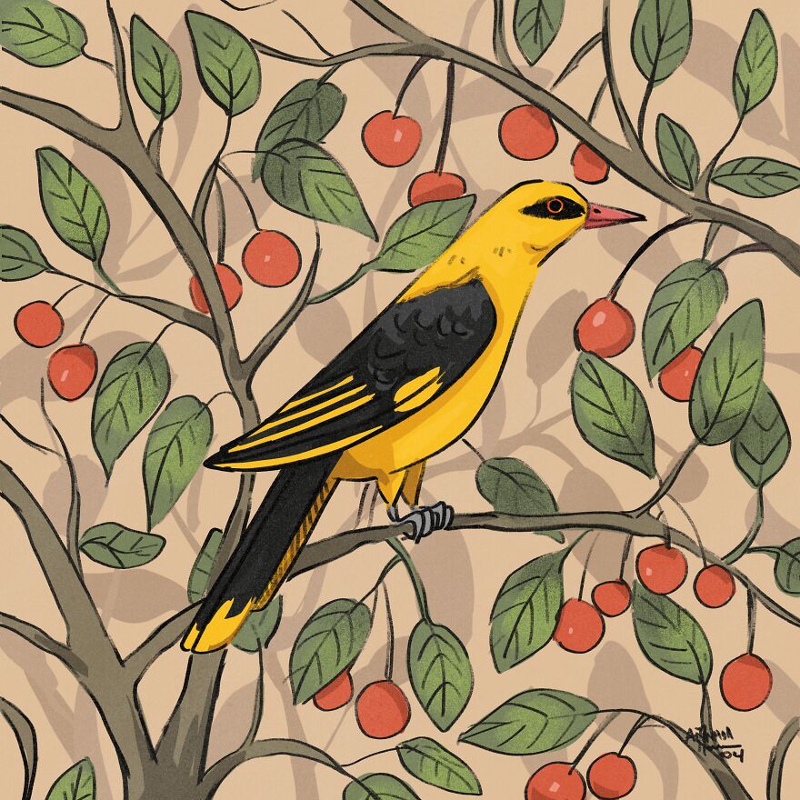 I Illustrated Birds I See From My Balcony Or In The City