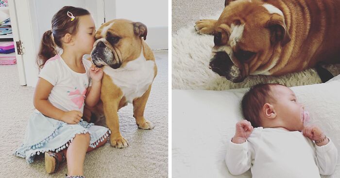 This Girl Grew Up With A Dog Being By Her Side Every Single Day