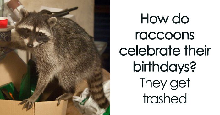 30 Birthday Puns That Are Really A Piece Of Cake