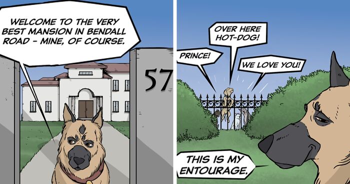 These 37 Comics That My Brother Created About Neighborhood Pets Are The Sweetest Way To Promote My Children’s Book