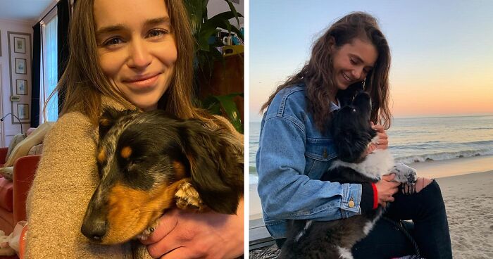 36 Celebrities Who Love Dogs As Much As Every Person Should (New Pics)