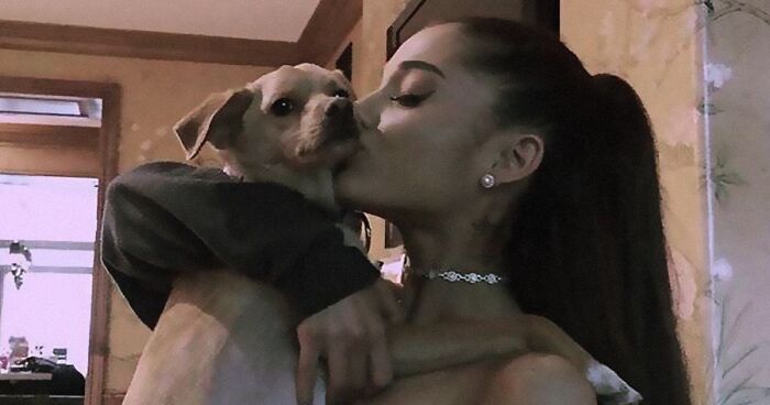 36 Celebs Who Are Renowned Dog People (New Pics)