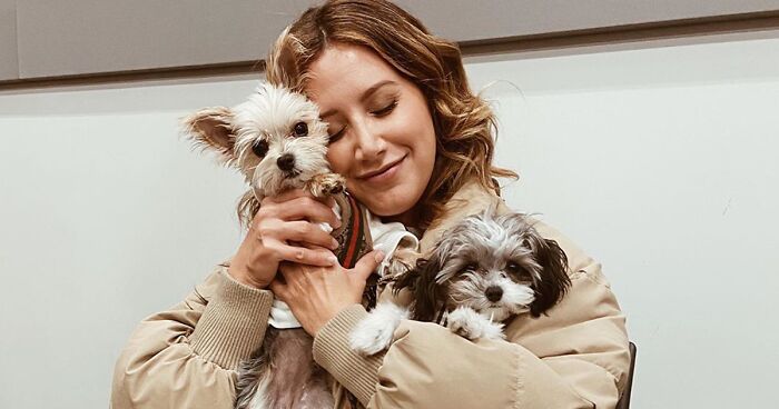 Hollywood Stars Who Love Dogs (36 New Pics)