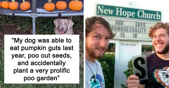 This Online Community Collected 97 Examples Of Chaotic Good Actions That Might Restore Your Faith In Humanity