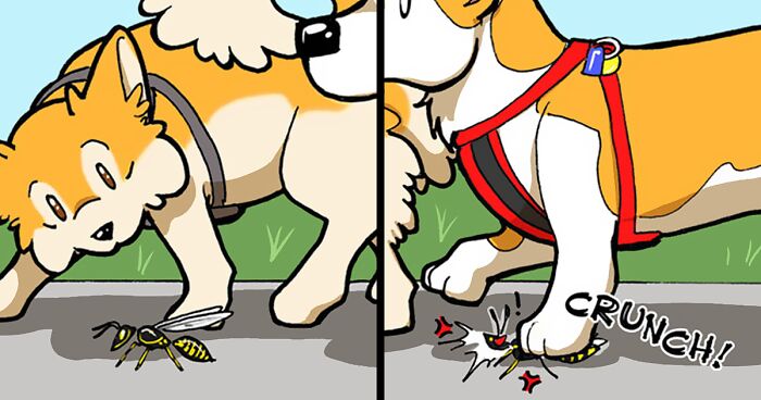 Adventures Of Living With Two Rescue Dogs: 26 Comics I’ve Made