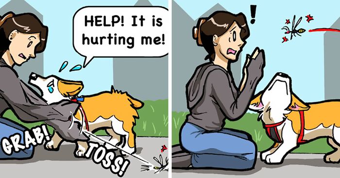 I Make Relatable Comics About Being A Dog Owner (26 Pics)