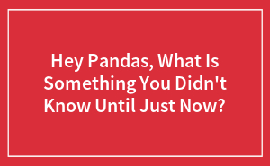 Hey Pandas, What Is Something You Didn’t Know Until Just Now?