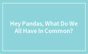 Hey Pandas, What Do We All Have In Common?