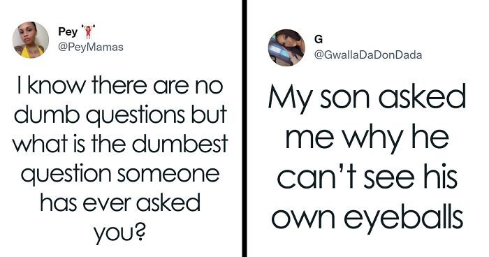 People Share 30 Stupid Questions They Were Asked That Made Them Facepalm