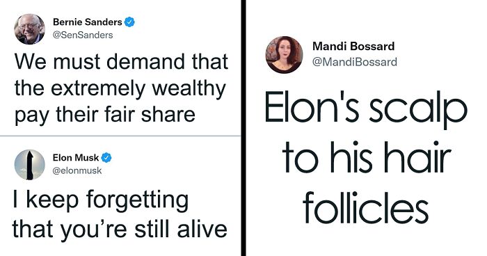 Elon Musk Wants To Pick A Fight With Bernie Sanders, Gets Roasted On Twitter Instead (19 Tweets)