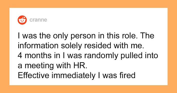 Employee Gets Fired Without Any Warning, Repays By Refusing To Give Up All The Info She's Done On Her Big Presentation To Get Revenge On Her Jerk Boss