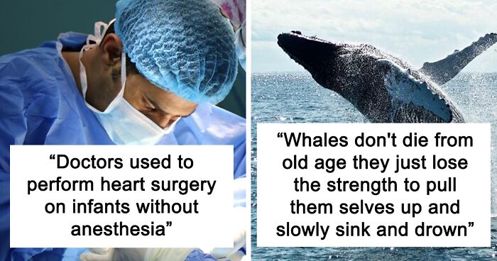 69 Messed Up Facts People Wish They Never Learned