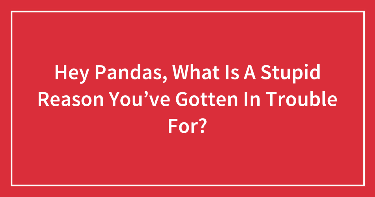 Hey Pandas, What Is A Stupid Reason You've Gotten In Trouble For