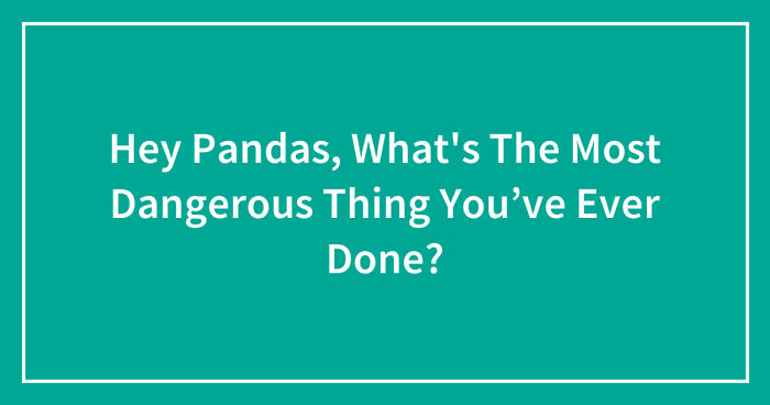 Hey Pandas What s The Most Dangerous Thing You ve Ever Done