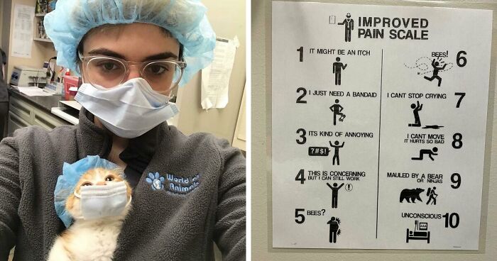 111 Examples Of Awesome Doctors And Vets That Make Appointments Less Scary