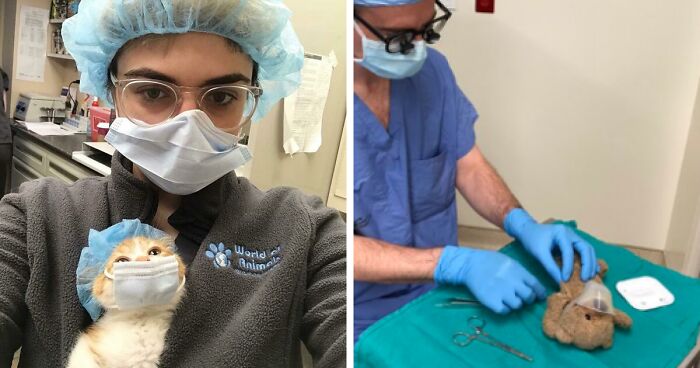 111 Times Someone In The Medical Field Did Something Sweet And Caring