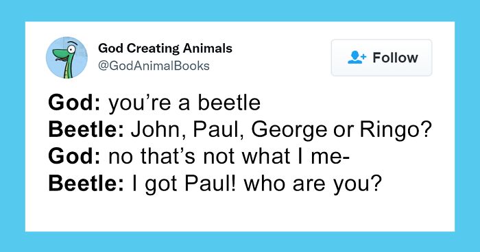 Here's What God Must've Told The Animals While He Was Creating Them (30 Funny Tweets)