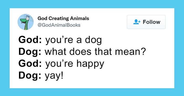 Here's What God Must've Told The Animals While He Was Creating Them (30 Funny Tweets)