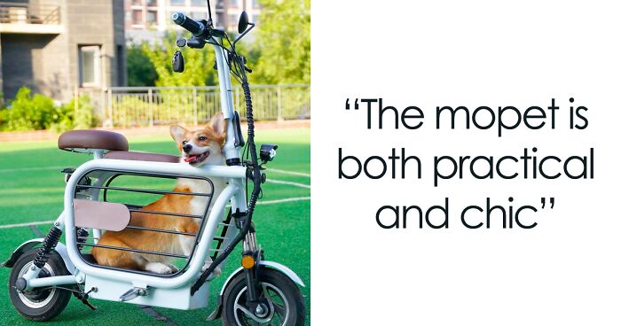 The Japanese Have Invented A Pet-Friendly E-Bike Called A Mopet, And It's Going To Make Their Transportation Much Easier