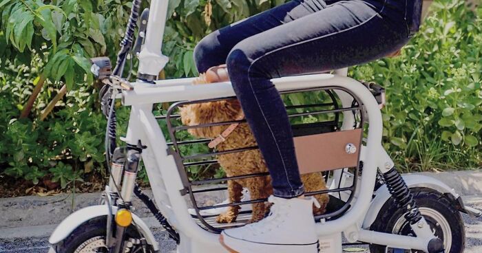 The Japanese Have Invented A Pet-Friendly E-Bike Called A Mopet, And It's Going To Make Their Transportation Much Easier