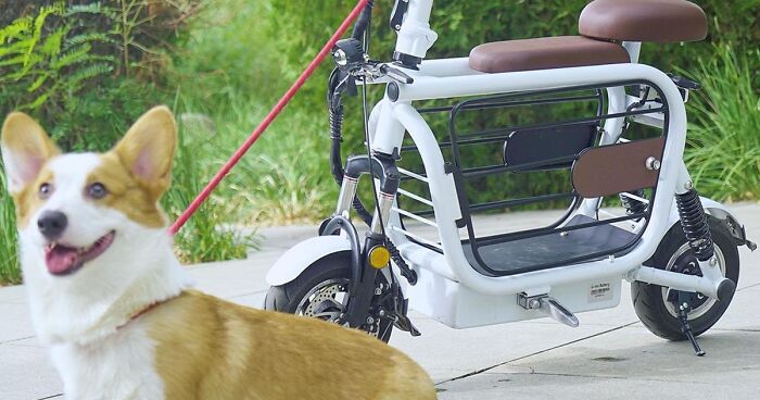 The Japanese Have Invented A Pet-Friendly E-Bike Called A Mopet, And It's Going To Make Their Transportation Much Easier