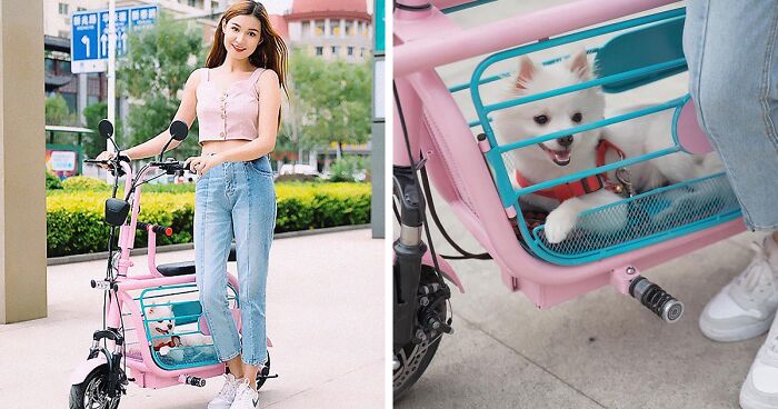 The Japanese Have Invented A Pet-Friendly E-Bike Called A Mopet, And It's Going To Make Their Transportation Much Easier