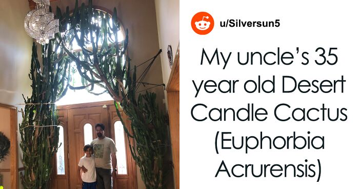 50 Times When Plant Lovers Couldn’t Resist Sharing Their Houseplants To This Online Community