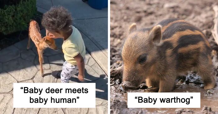 'Tiniest Of Units': 120 Times People Spotted Something So Tiny And Cute, They Just Had To Share These Pics Online