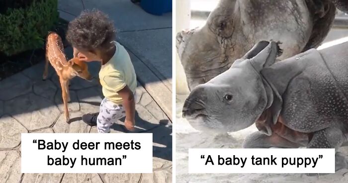 120 Times People Spotted Something So Tiny And Cute, They Just Had To Share These Pics Online