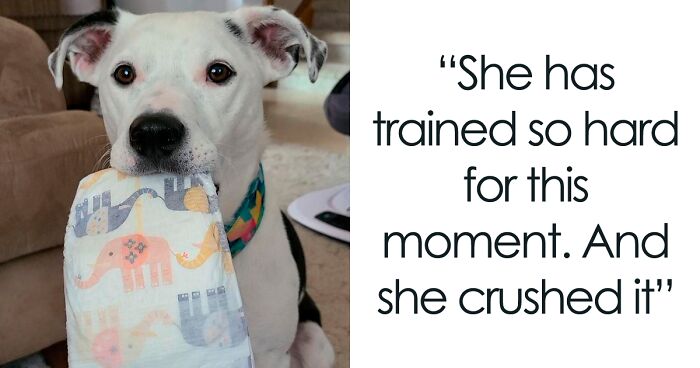 This Dog Learned To Bring Diapers To Help A Newborn Baby's Mother Out, And The Internet Loves It