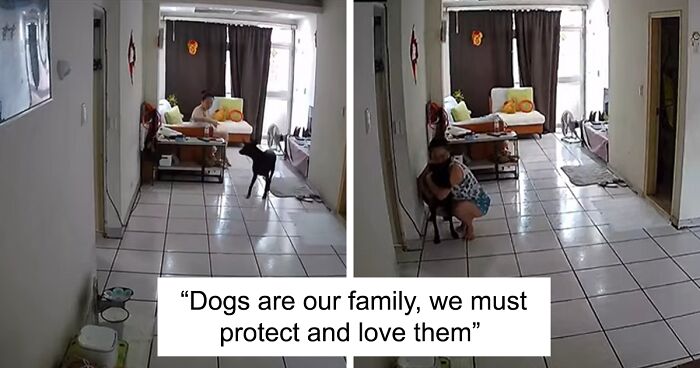 Woman Shows Her Selflessness When She Tries To Calm Her Dog During An Earthquake