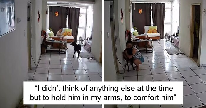 Woman Forgets Her Fears And Comforts Her Dog When An Earthquake Starts