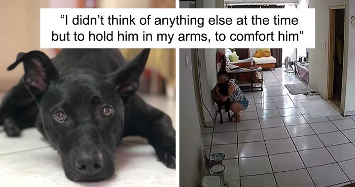 Camera Captured Woman's Kind Heart When She Rushed To Comfort Her Dog When An Earthquake Hit