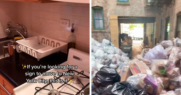 Woman Rents An Apartment In New York For $1,575, Is Shocked After Moving In By The Awful View From Her Only Window