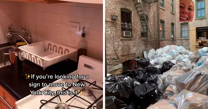 Trash Mountain: Woman Films How Much Garbage People Dump Right Outside Her $1,575/Month New York Apartment