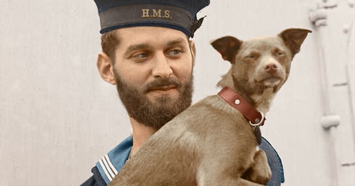 I Colorized Hundred-Year-Old Photos Of Animals That Served In War (14 Pics)