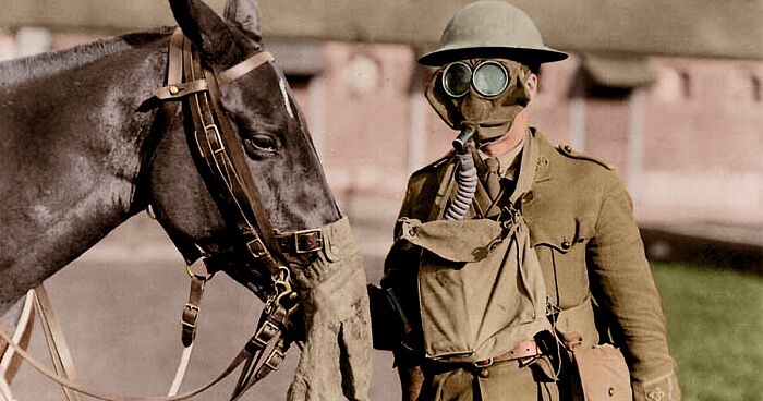 Remembrance Day: I Colorized 14 Photos Of Animals That Served In WW1 And WW2