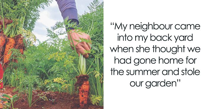 30 People Share How Their Horrible Neighbors Made Their Lives More Difficult (New Stories)