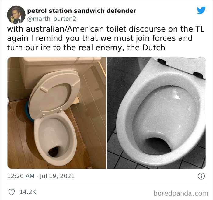 Thanks I hate pebble toilets : r/TIHI